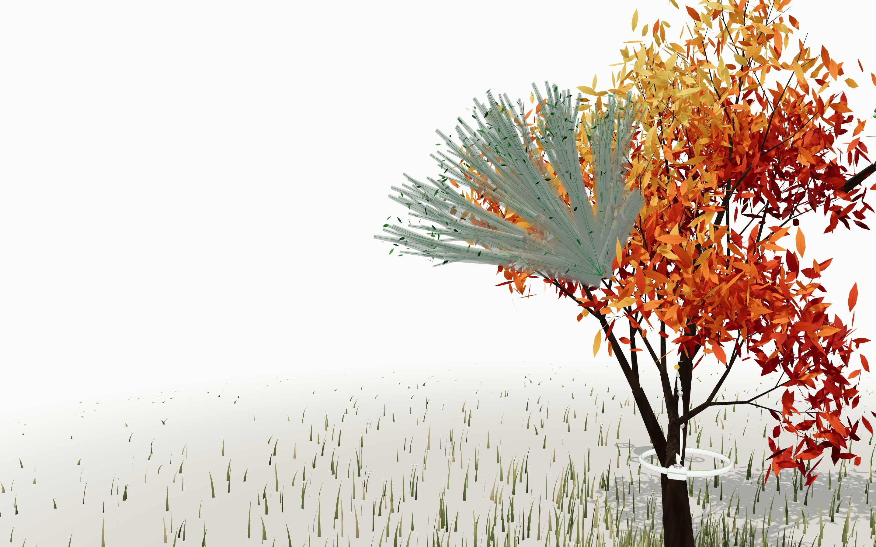 From one decision point on a limb, thirty glass runs fan out as the months pass: the ones that flourish leaf out green, the others stall or crumble